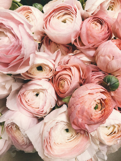 10 Flowers and What They Symbolize