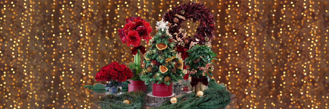 Christmas Collection 2022