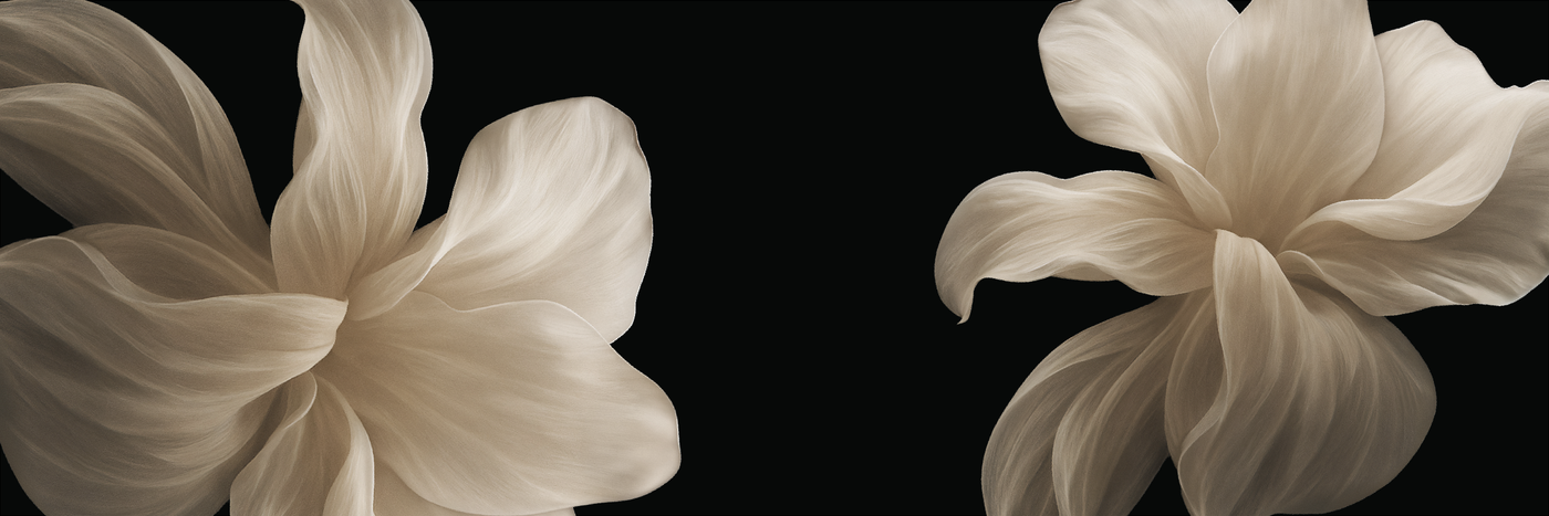 The Floral Atelier 10th Anniversary | Exclusive Collection