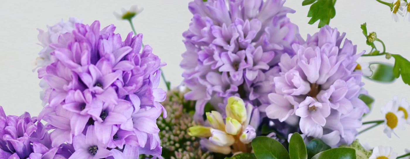 Flower of the Month