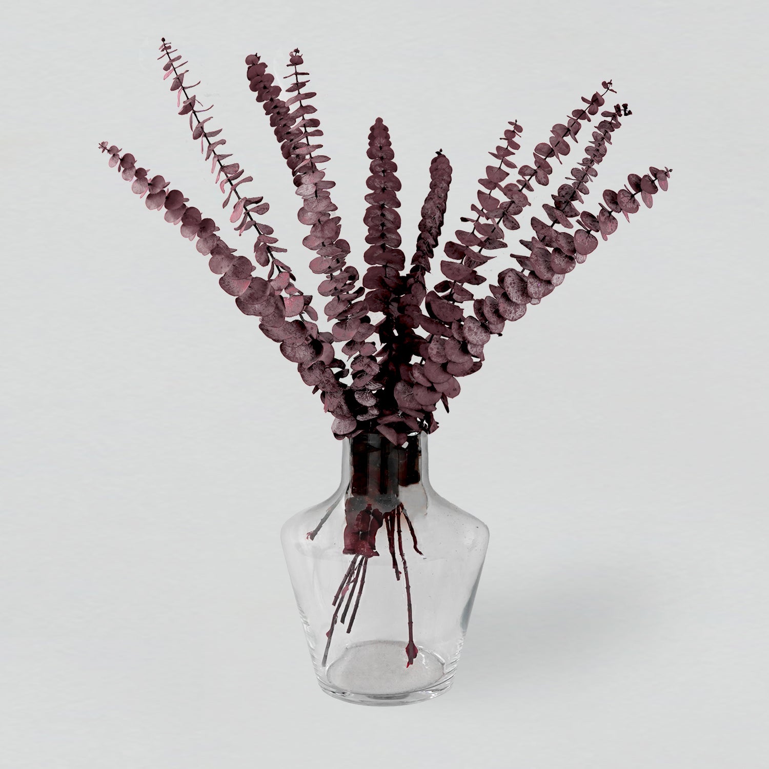 Eternity Maroon Eucalyptus Leaves
