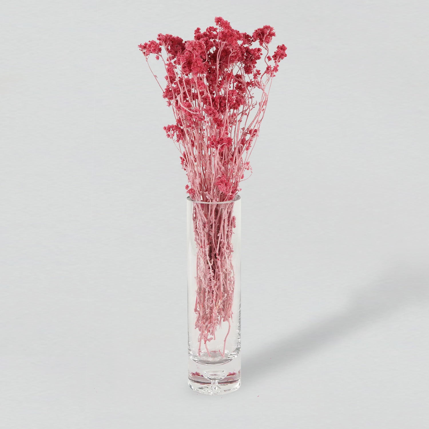 Red crispum in a clear vase