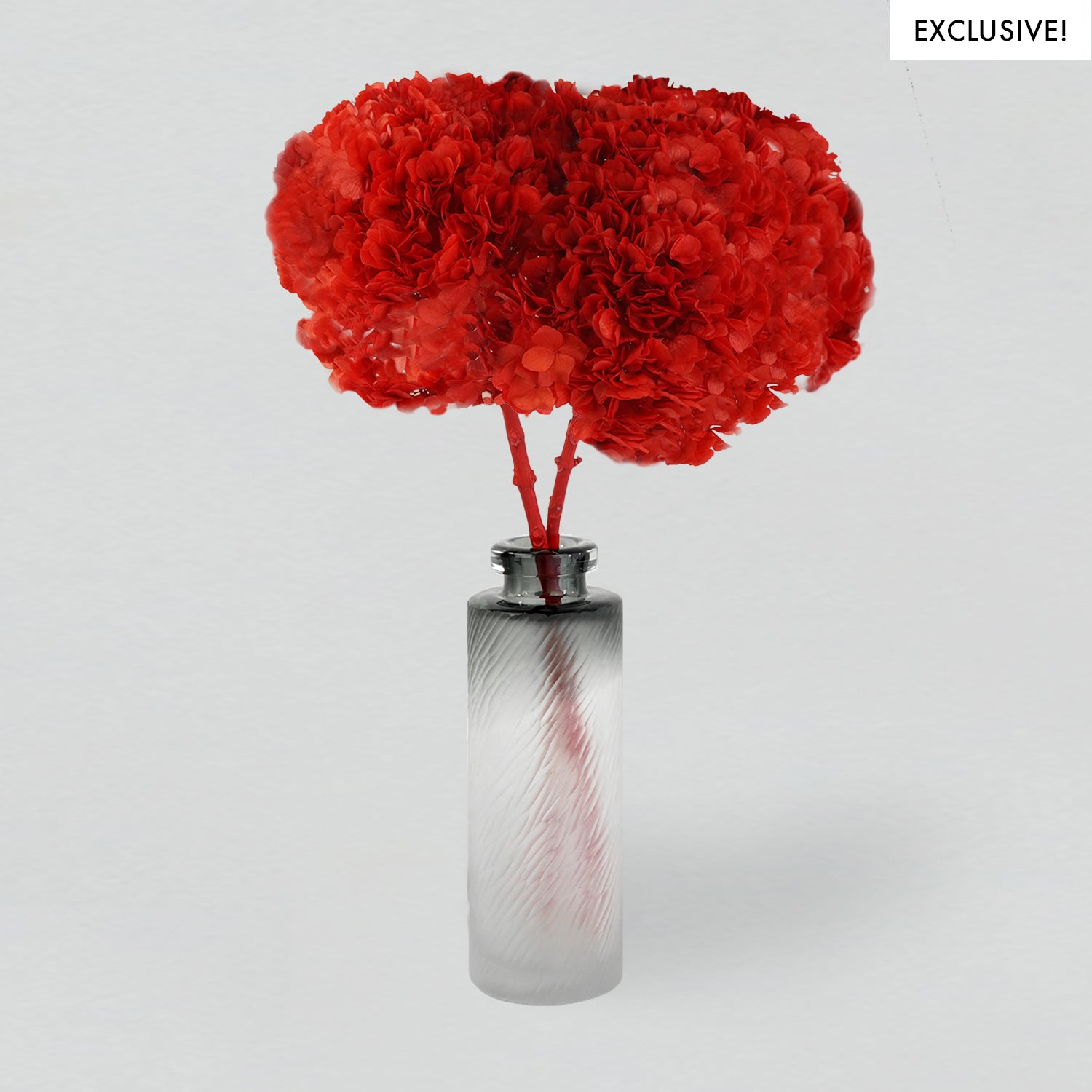 Eternity Red French Leaf Hydrangea