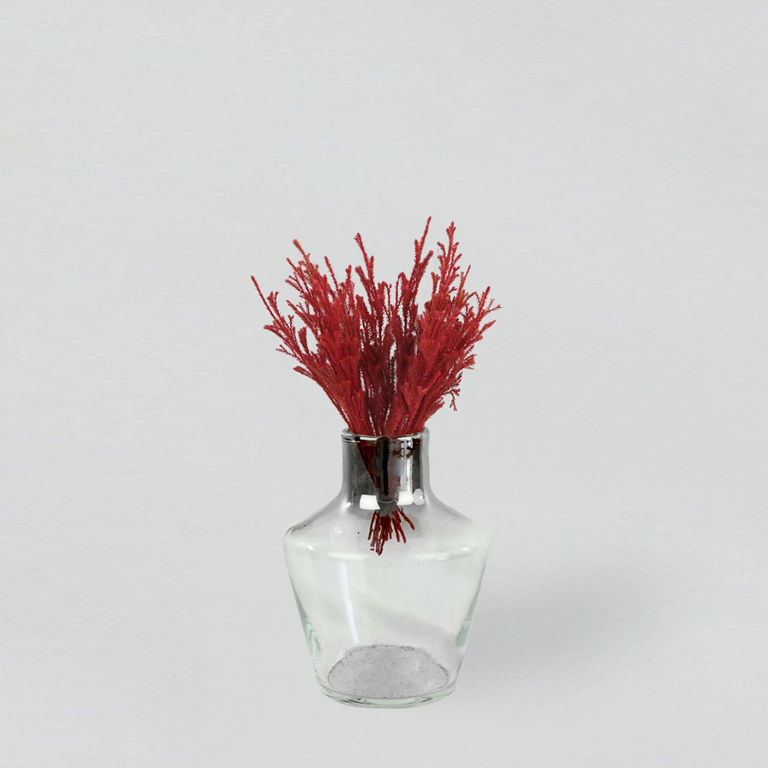 Eternity Red Coral Fern